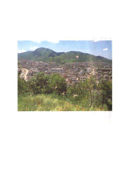 《温岭县志》.pdf电子版_浙江省志预览图4