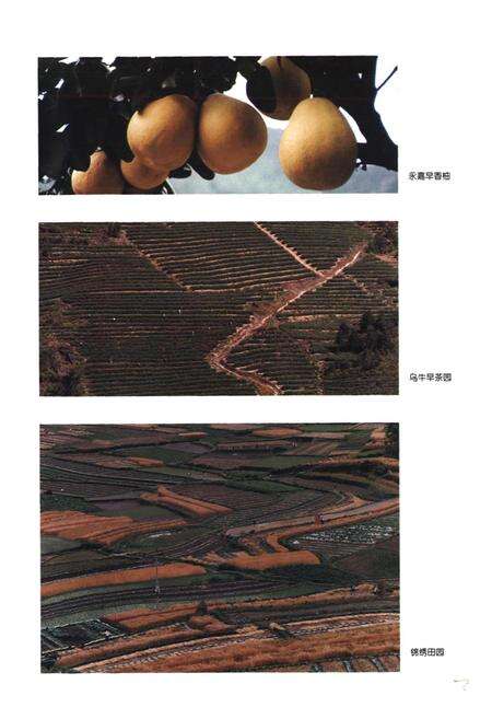 《永嘉县土地志》.pdf电子版_浙江省志预览图5