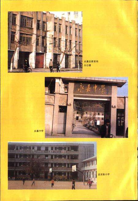 《永嘉县教育志》.pdf电子版_浙江省志预览图5