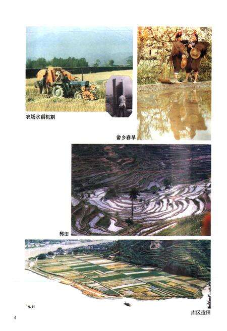 《云和县志》.pdf电子版_浙江省志预览图5