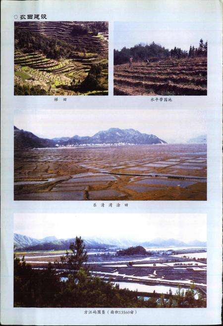 《乐清市农业志》.pdf电子版_浙江省志预览图4