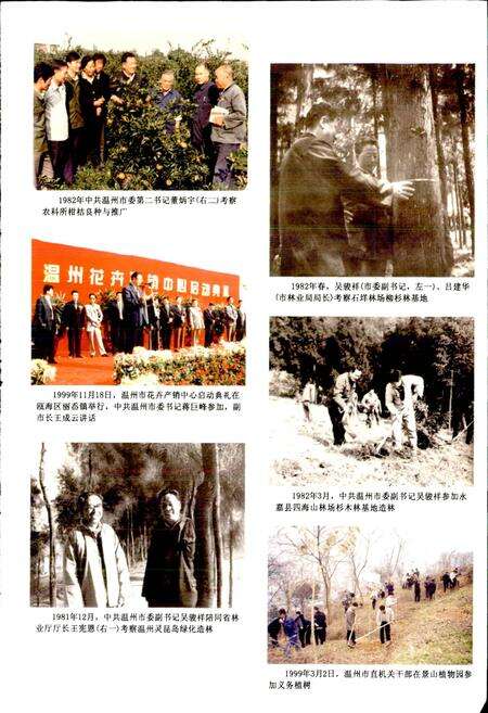 《温州市林业志》.pdf电子版_浙江省志预览图5