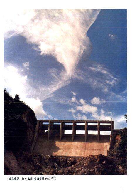 《丽水地区电力工业志》.pdf电子版_浙江省志预览图5