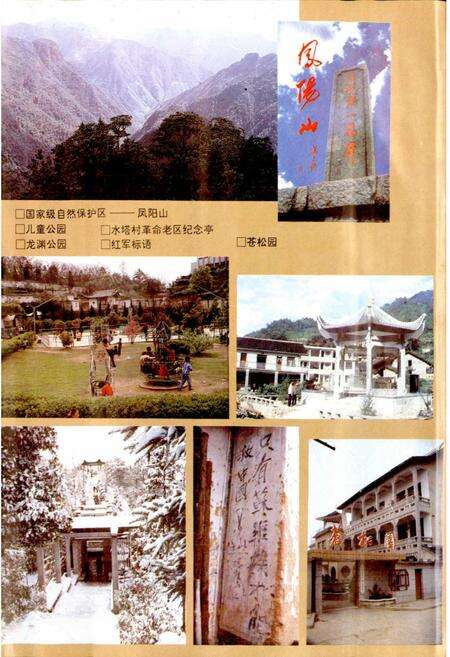 《龙泉县志》.pdf电子版_浙江省志预览图3