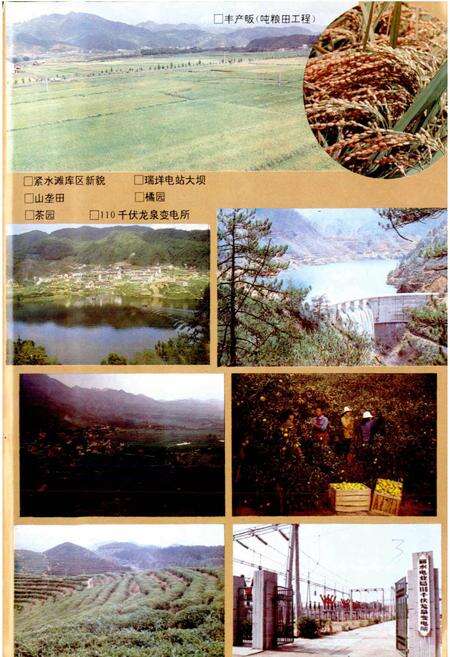 《龙泉县志》.pdf电子版_浙江省志预览图4