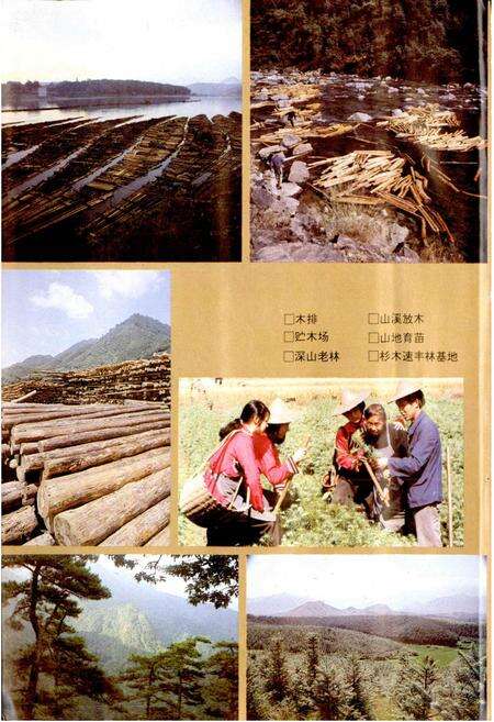 《龙泉县志》.pdf电子版_浙江省志预览图5