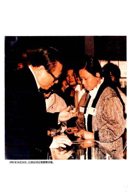 《柳市镇志》.pdf电子版_浙江省志预览图3