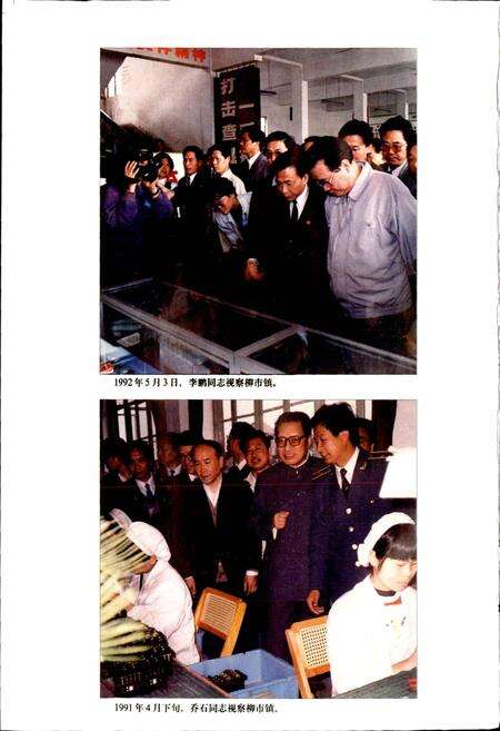 《柳市镇志》.pdf电子版_浙江省志预览图4