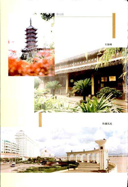 《瑞安市财政税务志》.pdf电子版_浙江省志预览图3