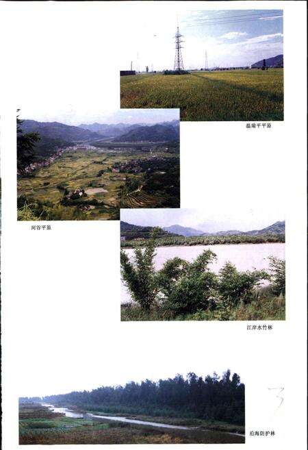 《瑞安市水利志》.pdf电子版_浙江省志预览图5