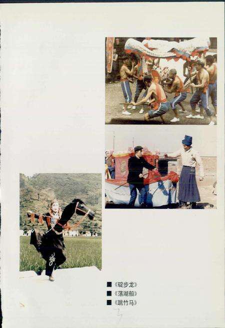 《中华舞蹈志浙江卷》.pdf电子版_浙江省志预览图5