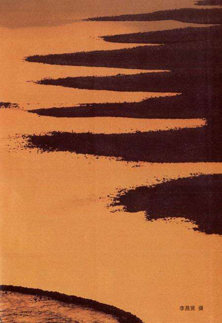 《永嘉县政协志》.pdf电子版_浙江省志预览图4