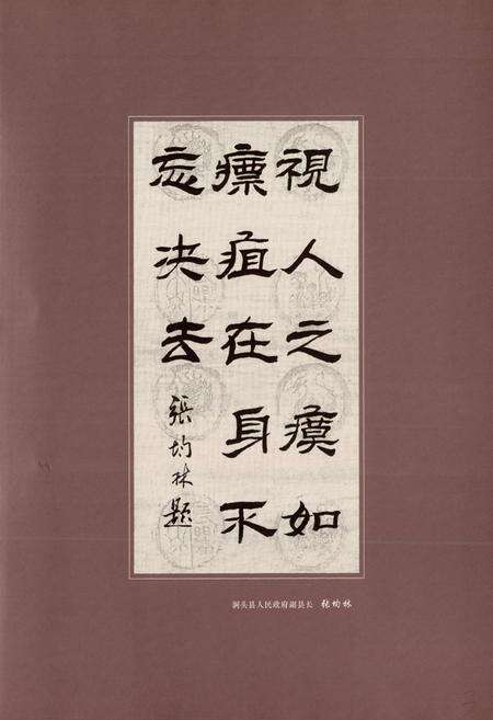 《洞头县人民医院志(1953-2006)》.pdf电子版_浙江省志预览图4