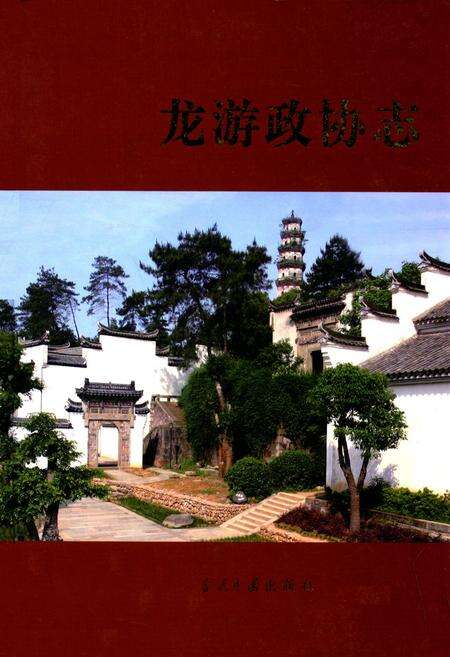 《龙游政协志》.pdf电子版_浙江省志缩略图