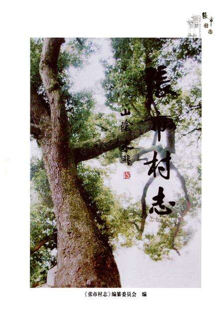 《张市村志》.pdf电子版_浙江省志预览图1