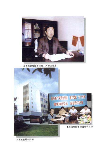 《兰溪市粮食志》.pdf电子版_浙江省志预览图4