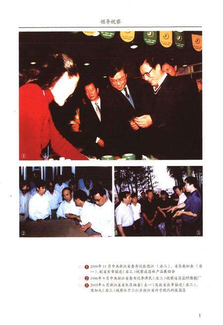 《遂昌县林业志(1995-2005)》.pdf电子版_浙江省志预览图4