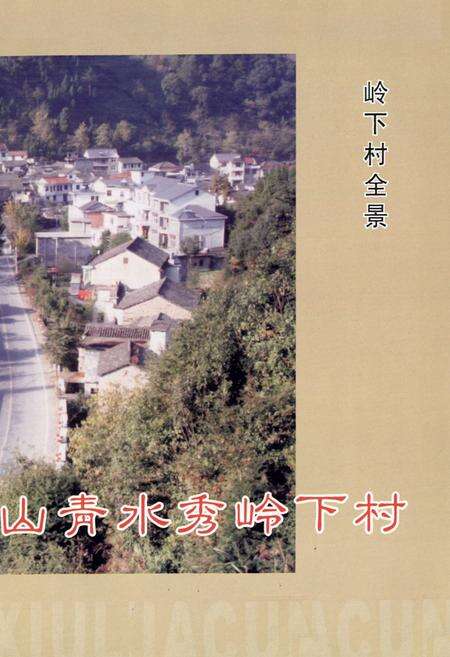 《岭下村志》.pdf电子版_浙江省志预览图4