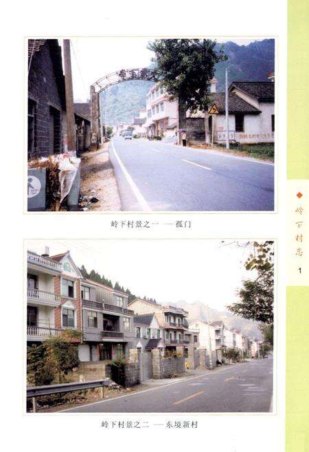 《岭下村志》.pdf电子版_浙江省志预览图5