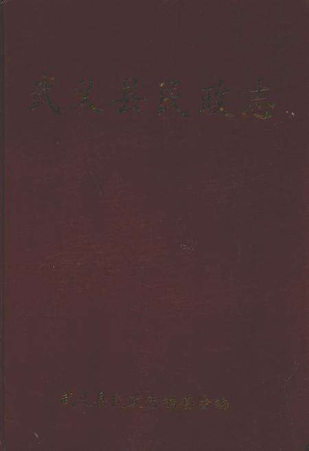 《武义县民政志》.pdf电子版_浙江省志缩略图