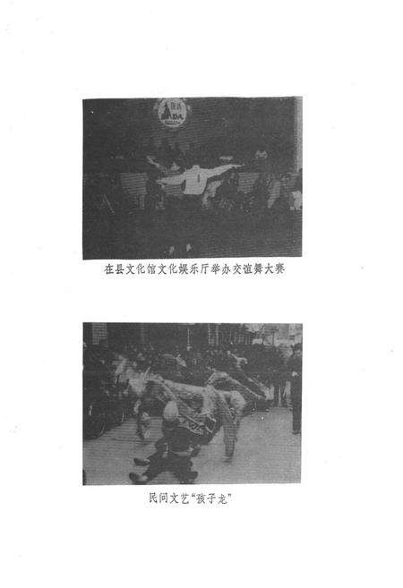 《新昌县文化志》.pdf电子版_浙江省志预览图3