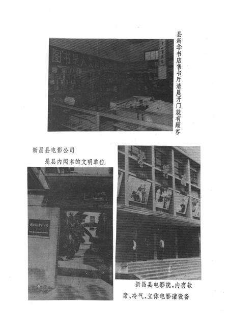 《新昌县文化志》.pdf电子版_浙江省志预览图5