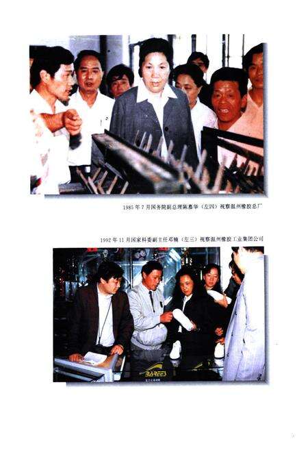 《温州市化学工业志》.pdf电子版_浙江省志预览图5