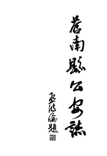 《苍南县公安志》.pdf电子版_浙江省志预览图1