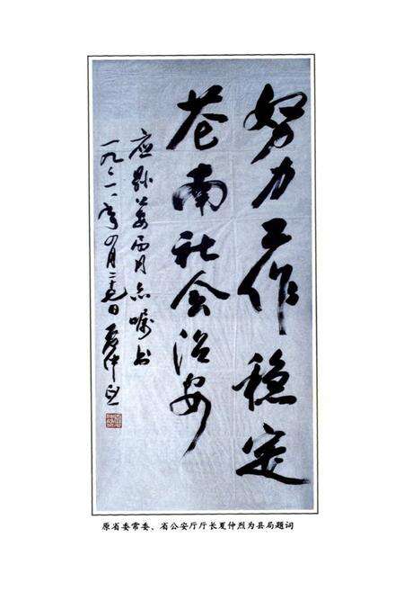 《苍南县公安志》.pdf电子版_浙江省志预览图2