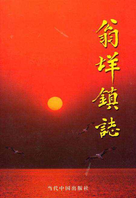 《翁垟镇志》.pdf电子版_浙江省志缩略图