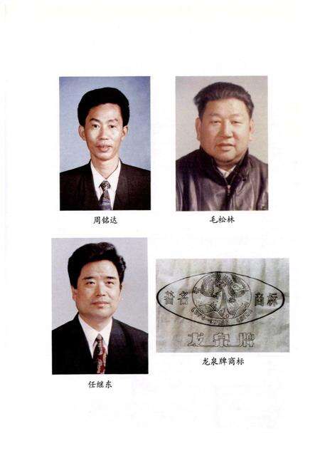 《龙泉瓷厂厂志》.pdf电子版_浙江省志预览图4