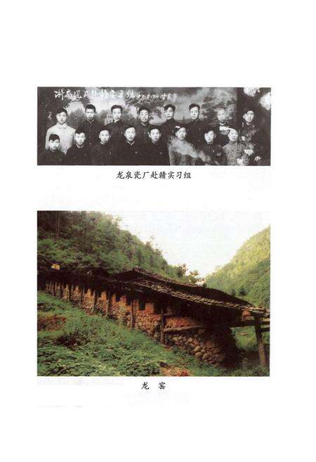 《龙泉瓷厂厂志》.pdf电子版_浙江省志预览图5