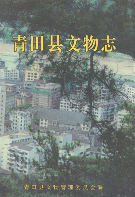 《青田县文物志》.pdf电子版_浙江省志缩略图