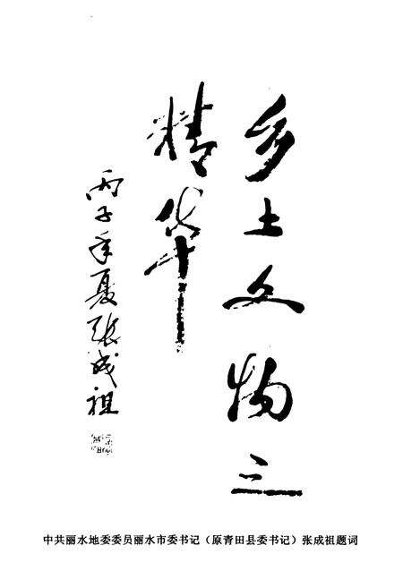 《青田县文物志》.pdf电子版_浙江省志预览图4