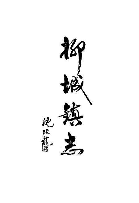 《武义柳城镇志》.pdf电子版_浙江省志预览图2