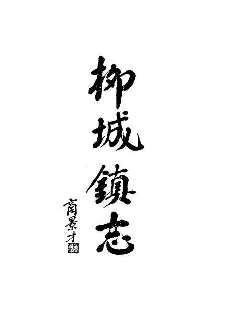 《武义柳城镇志》.pdf电子版_浙江省志预览图3