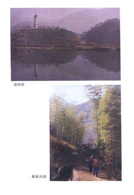 《武义柳城镇志》.pdf电子版_浙江省志预览图4