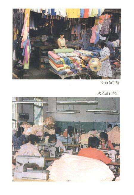 《武义柳城镇志》.pdf电子版_浙江省志预览图5