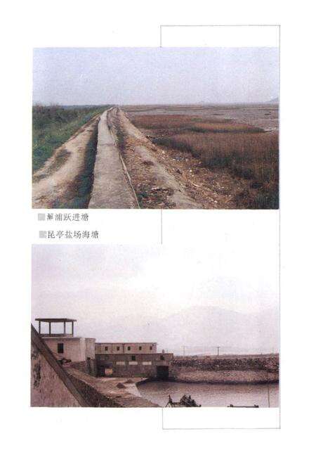 《镇海水利志》.pdf电子版_浙江省志预览图4