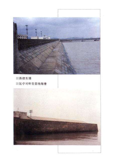 《镇海水利志》.pdf电子版_浙江省志预览图5