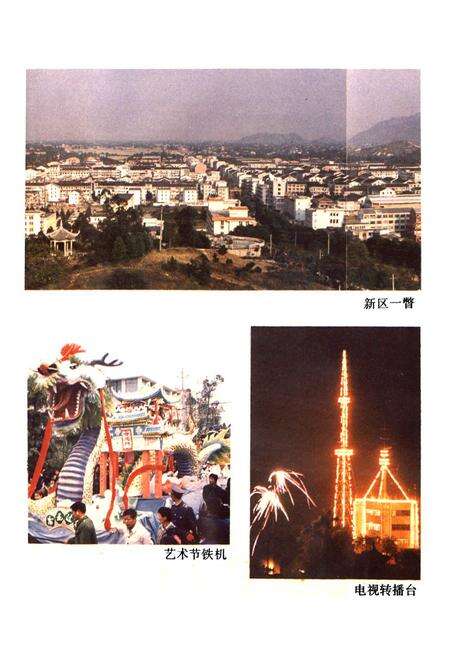 《苍南灵溪镇志》.pdf电子版_浙江省志预览图4