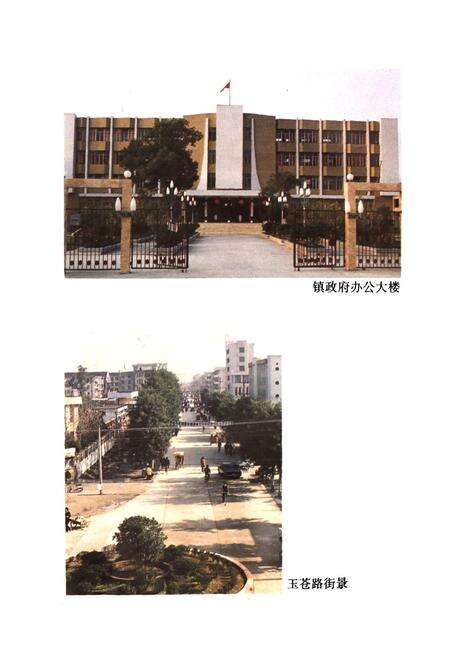 《苍南灵溪镇志》.pdf电子版_浙江省志预览图5