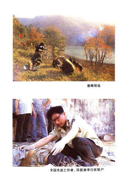 《嵊县公安志》.pdf电子版_浙江省志预览图5