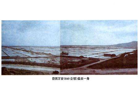 《舟山市盐业志》.pdf电子版_浙江省志预览图5