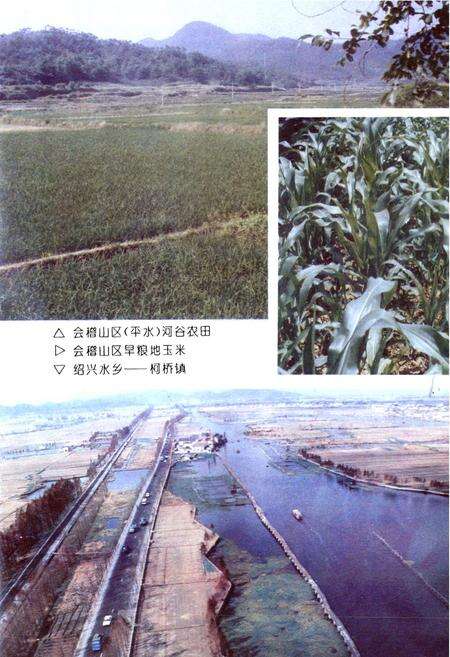 《绍兴县农业志》.pdf电子版_浙江省志预览图5