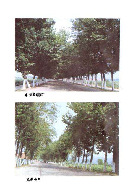 《浦江县交通志》.pdf电子版_浙江省志预览图5