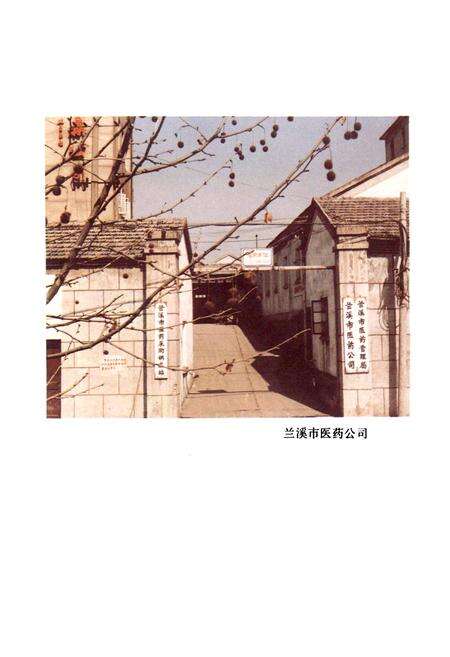 《兰溪医药志》.pdf电子版_浙江省志预览图2