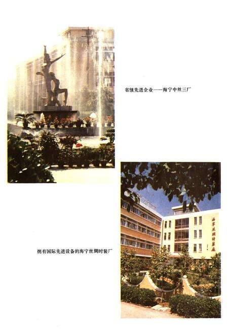 《海宁市丝绸工业志》.pdf电子版_浙江省志预览图5