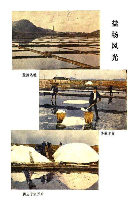 《宁海盐政志1763-1986》.pdf电子版_浙江省志预览图5