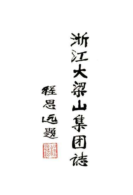 《浙江大梁山集团志》.pdf电子版_浙江省志预览图2